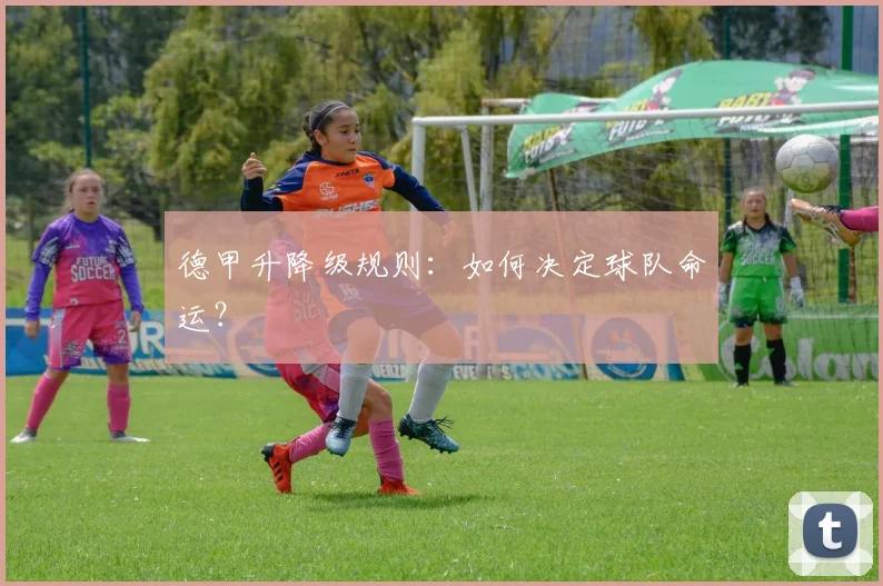 德甲升降级规则:如何决定球队命运?
